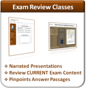 Exam Review (Business & Finance)