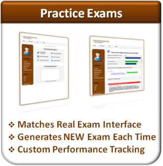 Practice Exams (Business & Finance)