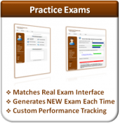 Practice Exams (Project Management)